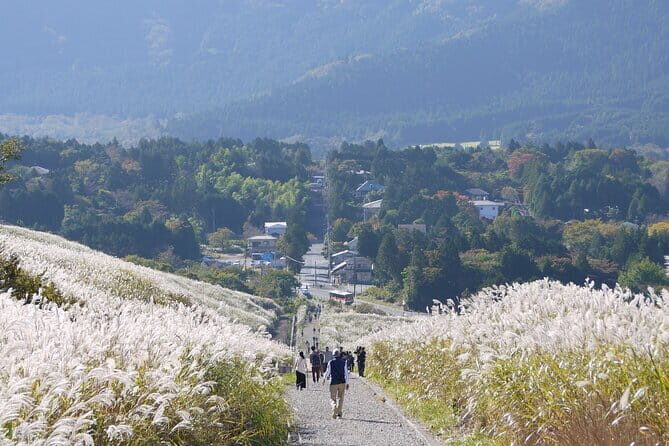 Private Tour - Hakone Day Trip! A Tour to Explore All Must-Sees! - Ropeway to Owakudani: where the volcano finally takes over