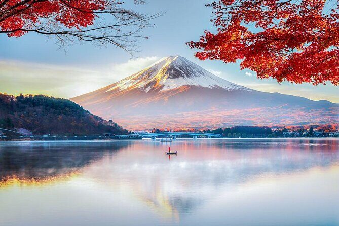 Private Tour to Mt. Fuji and Hakone (Fully Licenced Operator) - Key Points You’ll Actually Care About