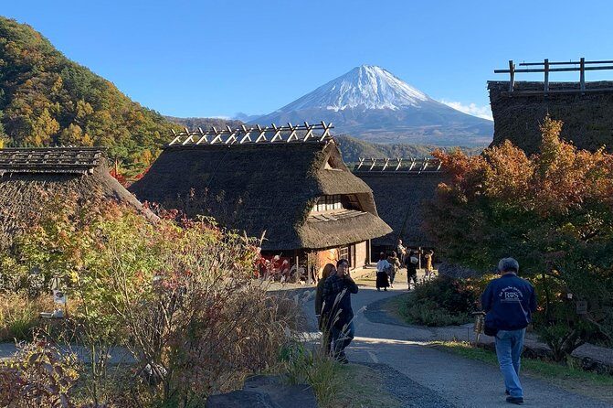 Private Tour to Mt. Fuji and Hakone (Fully Licenced Operator) - Price and Logistics: What You’re Paying For