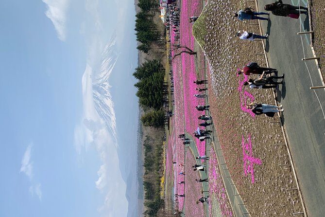 Private Tour to Mt. Fuji and Hakone (Fully Licenced Operator) - Hakone Lake Ashi and the Pirate Cruise Choice