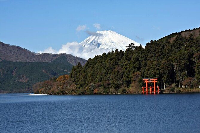 Private Tour to Mt Fuji and Hakone with English Speaking Driver - Private Pickup in a Comfortable Van (and Why It Matters in Tokyo)