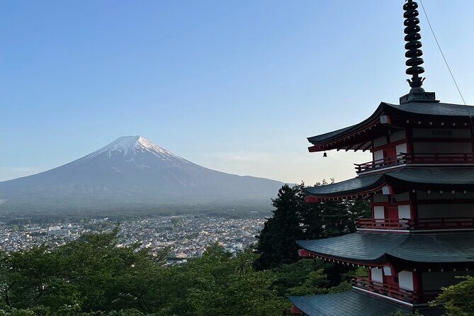 Private Tour to Mt Fuji and Hakone with English Speaking Driver - Ōwakudani Volcanic Zone: Steam, Sulfur Air, and the Black Eggs