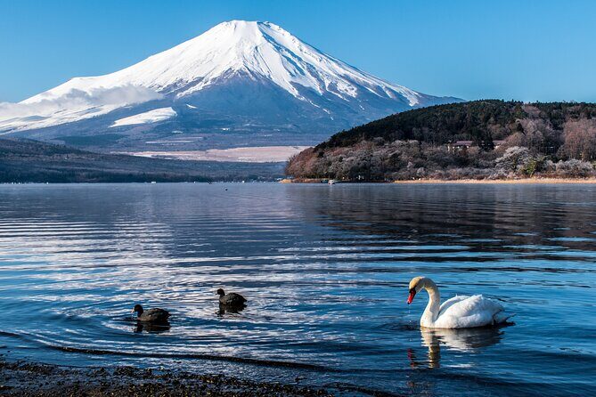 Private Unforgettable Mt Fuji Tour with English Speaking Driver - Mt Fuji Panoramic Ropeway for height and perspective