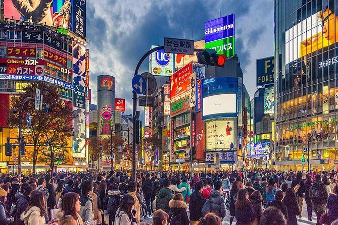 Shibuya All You Can Eat Best Food Tour The Original One in Tokyo - The food lineup: sushi, yakitori, yakiniku, takoyaki, and desserts