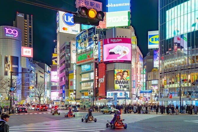 Shibuya Go Karting Tour with Funny Costume - Licenses and limits: what you must bring (and your body size)