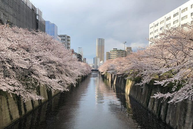 Shinjuku: Food Tour – 15 Dishes & 3 Drinks at 4 Eateries - What 15 dishes and 3 drinks really means for your appetite