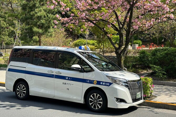 Shuttle Van Transfer, Yokohama(Port)⇒Tokyo, Narita, Haneda, TDR - Inside the van: comfort, luggage handling, and the real day saver