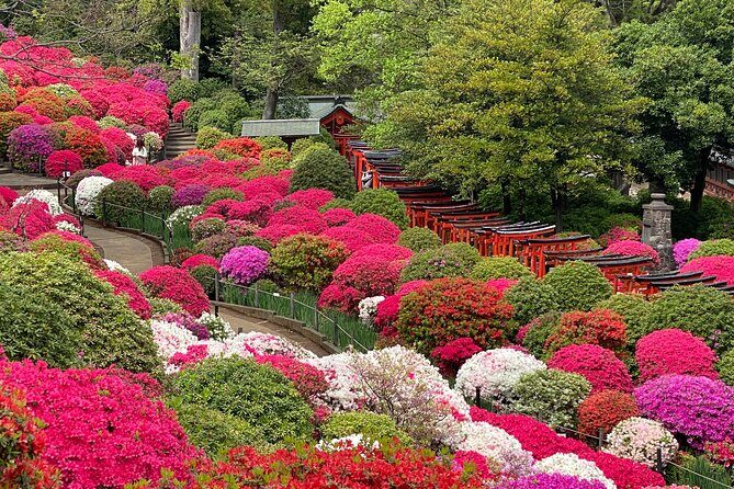 The Old Quarter of Tokyo - Yanaka Walking Tour - Hebimichi back street daily life, then Yanaka Ginza for food and browsing