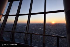 Tokyo: 1 Day Bus Tour with Meiji-Jingu,Odaiba,lunch&Skytree - Meiji Shrine: forest calm and the torii you came for