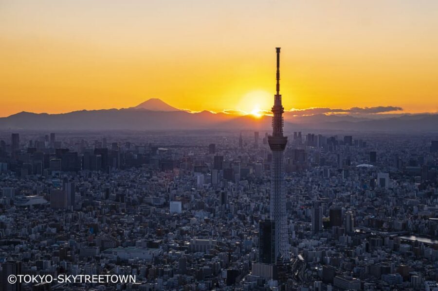 Tokyo: 1 Day Bus Tour with Meiji-Jingu,Odaiba,lunch&Skytree - Imperial Palace plaza: the best photo angles without the ticket hassle
