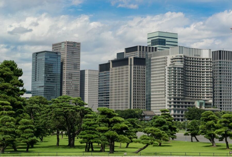 Tokyo: 1-Day Private Customizable Tour by Car - Meiji Shrine and Harajuku: from sacred calm to loud style