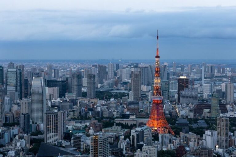 Tokyo: 1-Day Private Customizable Tour by Car - Asakusa and Tsukiji Outer Market: old Tokyo starts fast