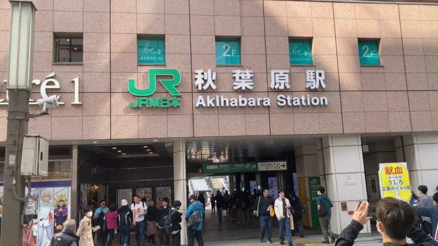 Tokyo Akihabara, Anime, Manga, Video Games & Maid Cafe Tour - Entering Akihabara: anime, manga, games, and why it works on foot