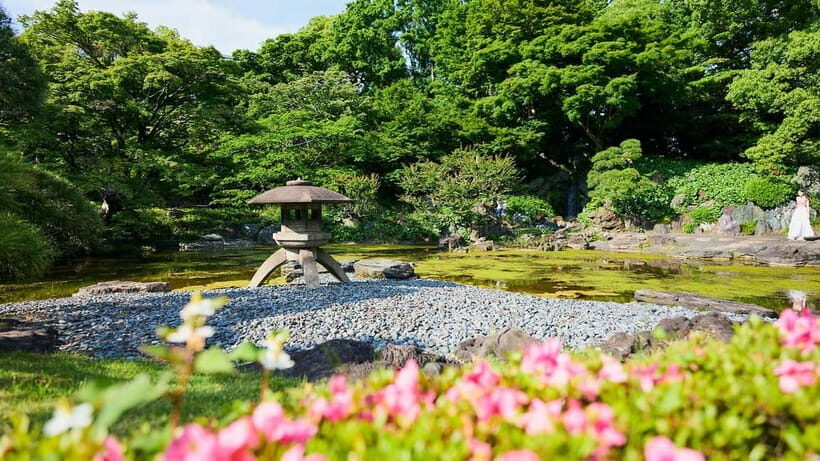 Tokyo Castle & Imperial PalaceーShogun Walking Tour - Key highlights you’ll care about
