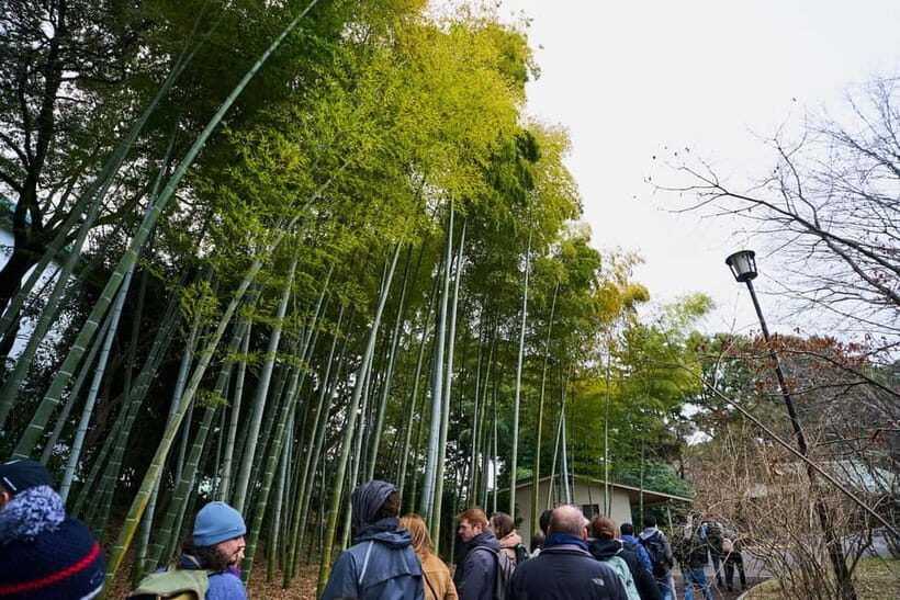 Tokyo Castle & Imperial PalaceーShogun Walking Tour - Tokyo Imperial Palace grounds: what you’ll actually notice with a guide