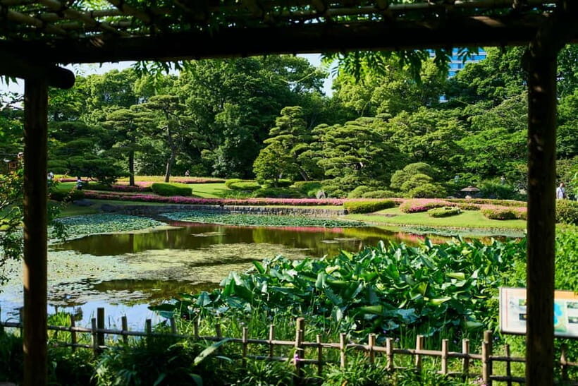 Tokyo Castle & Imperial PalaceーShogun Walking Tour - Ninomaru Garden: garden time with real historical framing