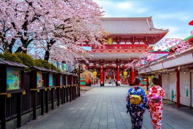 Tokyo City Tour by Private Car & English guide - Quick hits before you book