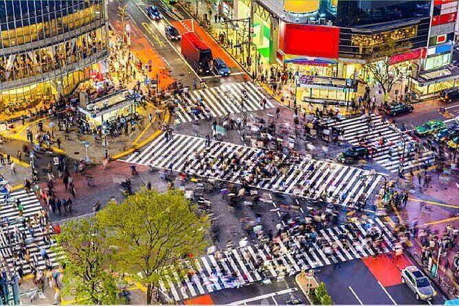 Tokyo City Tour by Private Car & English guide - Skytree or Tokyo Tower: choosing the sky view that fits your mood