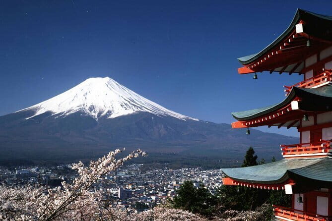 Tokyo City Tour by Private Car & English guide - Odaiba and Shibuya: Tokyo Bay views then the famous crossing