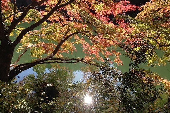 Tokyo Countryside Exploration Private Tour - Tokyo Countryside in One Day, Without the Usual Chaos