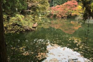 Tokyo Countryside Exploration Private Tour - Pickup, Mountain Driving, and How to Make the Most of the Route