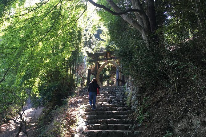 Tokyo Countryside Exploration Private Tour - Hanno: The Bamboo Temple (Gozu) and Wildlife That Keeps Its Distance