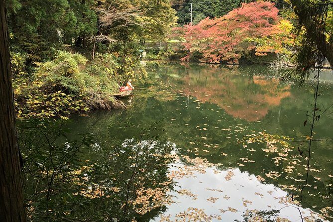 Tokyo Countryside Exploration Private Tour - Pickup, Mountain Driving, and How to Make the Most of the Route