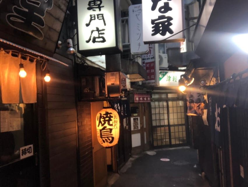 Tokyo: Customizable Private Guided Walking Tour - Tokyo Tower and skyline views without the usual chaos