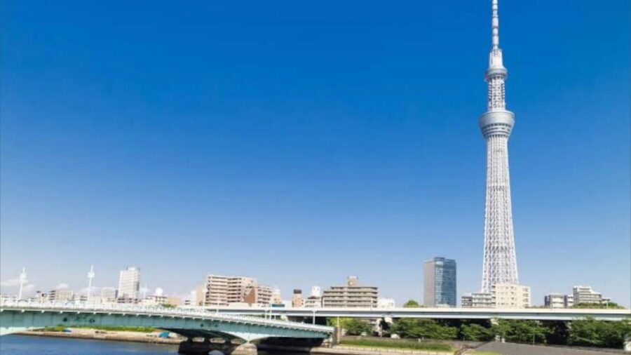 Tokyo: Customizable Private Guided Walking Tour - Food is optional, but it can power your whole itinerary