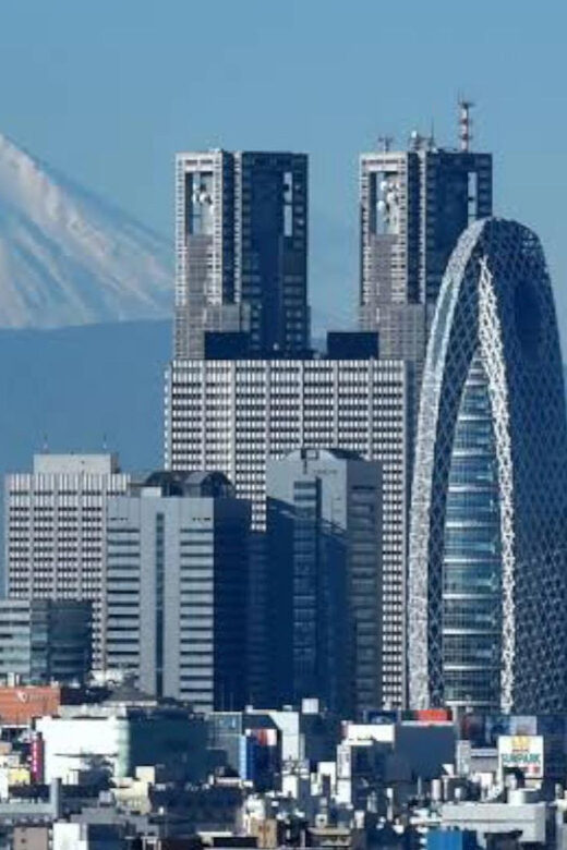 Tokyo: Customizable Private Guided Walking Tour - What you actually get for $87 per person (and what to plan for)