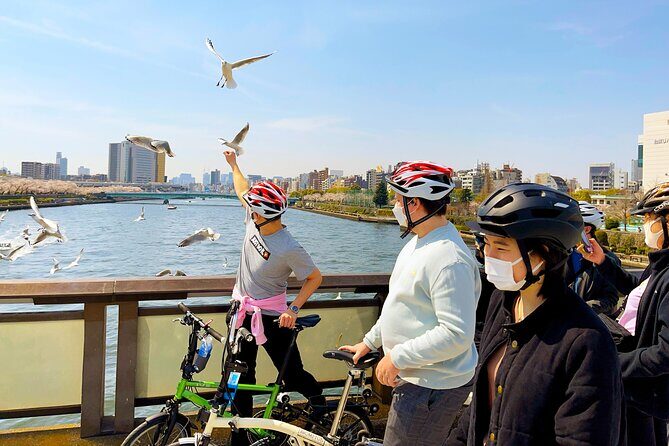 Tokyo downtown bicycle tour Tokyo Backstreets Bike Tour - Weather and pacing realities (so your day doesn’t get wrecked)