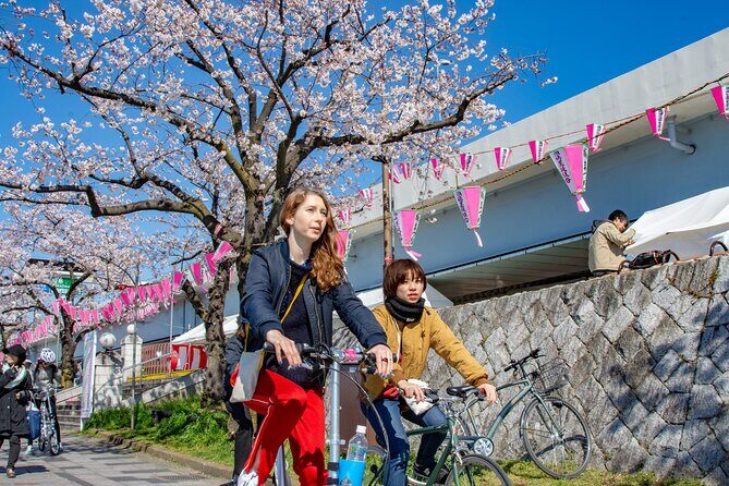 Tokyo downtown bicycle tour Tokyo Backstreets Bike Tour - Should you book this Tokyo Backstreets Bike Tour?