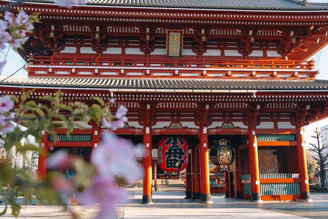 Tokyo Early Morning Tour Asakusa Meiji Shrine (Private Opt) - Key Highlights Worth Your Early Start