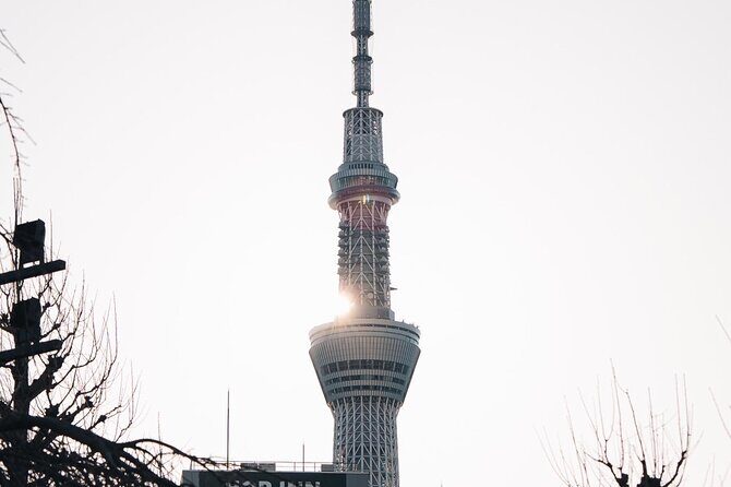 Tokyo Early Morning Tour Asakusa Meiji Shrine (Private Opt) - Stop 2: Tsukiji Fish Market Outer Market With Food-Lover Focus