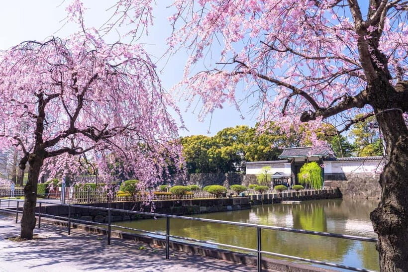 Tokyo: Edo Castle & East Garden of the Imperial Palace Tour - Should you book the Tokyo Imperial Palace East Garden tour?