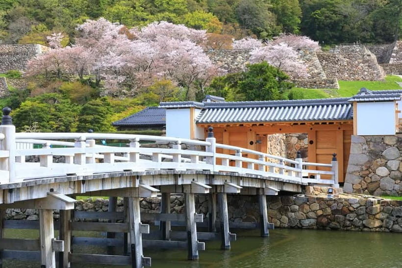 Tokyo: Edo Castle & East Garden of the Imperial Palace Tour - Practical prep: bags, inspections, and avoiding problems