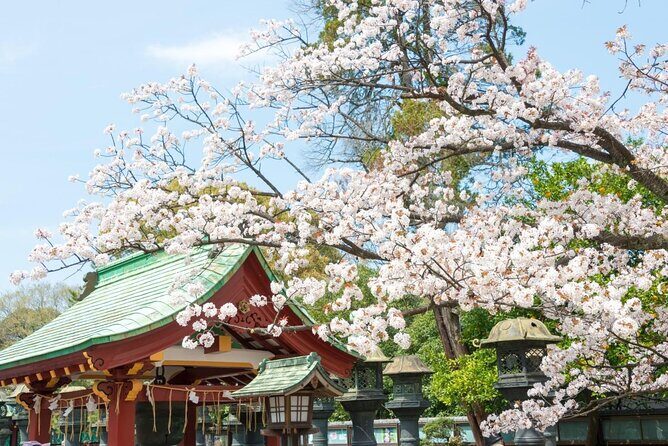 Tokyo: Food Tour in Ueno with 10+ Tastings of Japanese Classics - Your route in plain English: markets, under-the-tracks lanes, and sacred grounds