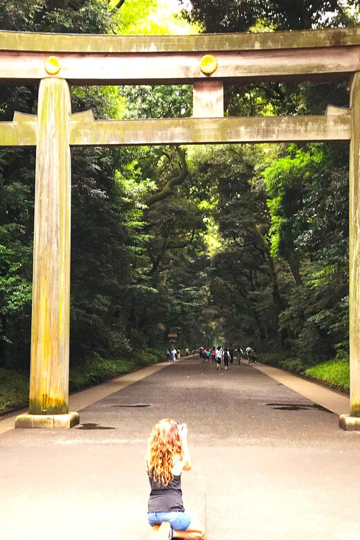 Tokyo: Full Course Tour: Explore 10 Must-Sees & Hidden Gems - Shibuya essentials: Hachiko first, then the Scramble Crossing