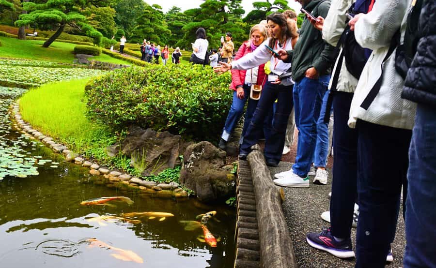 Tokyo: Imperial Palace Japanese History Walking Tour - Meeting at Starbucks near the palace: quick logistics, easy start
