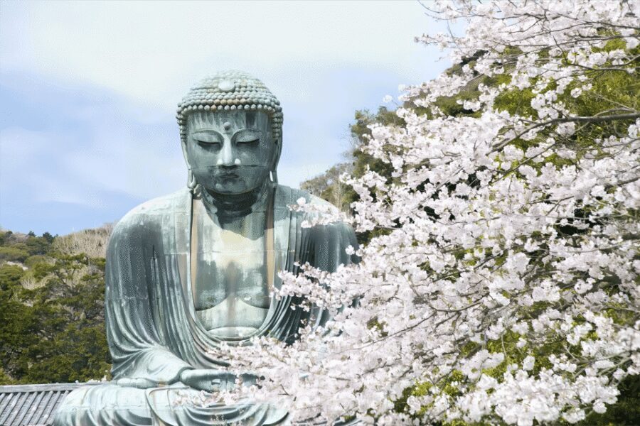 Tokyo: Kamakura & Enoshima Day Tour with Pickup & Train Ride - Shonan coast park views: the “in-between” that’s worth paying attention to