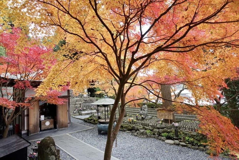 Tokyo: Kamakura & Enoshima Day Trip including Temple Tickets - A one-day route that covers Kamakura and Enoshima without a rail headache