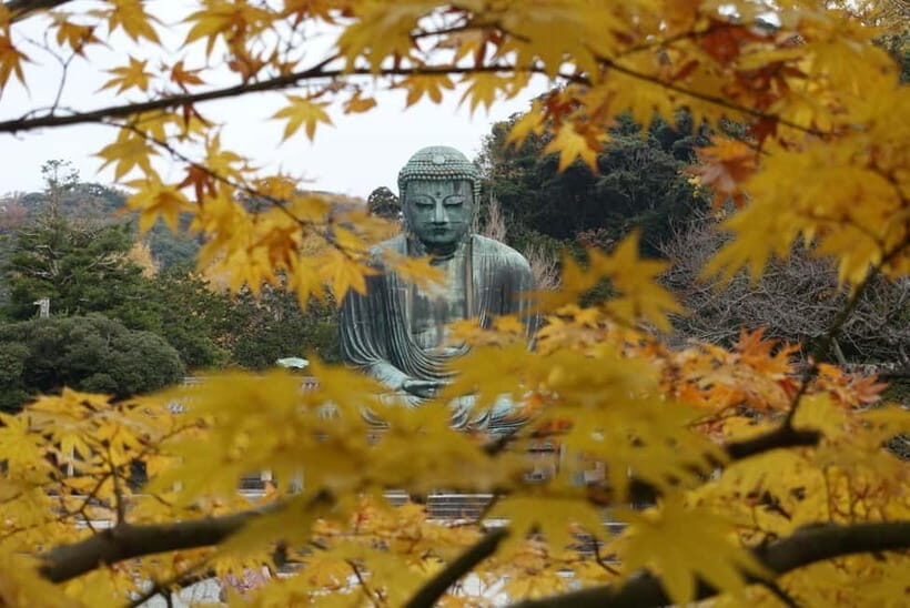 Tokyo: Kamakura & Enoshima Day Trip including Temple Tickets - Kōtoku-in and the Great Buddha: the National Treasure you can walk inside