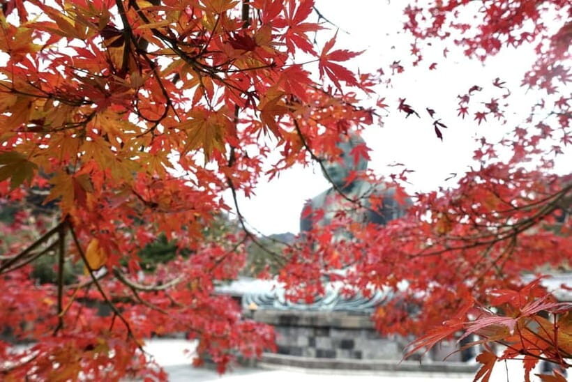 Tokyo: Kamakura & Enoshima Day Trip including Temple Tickets - Enoshima: viewpoints, shrine steps, and Mt. Fuji chances