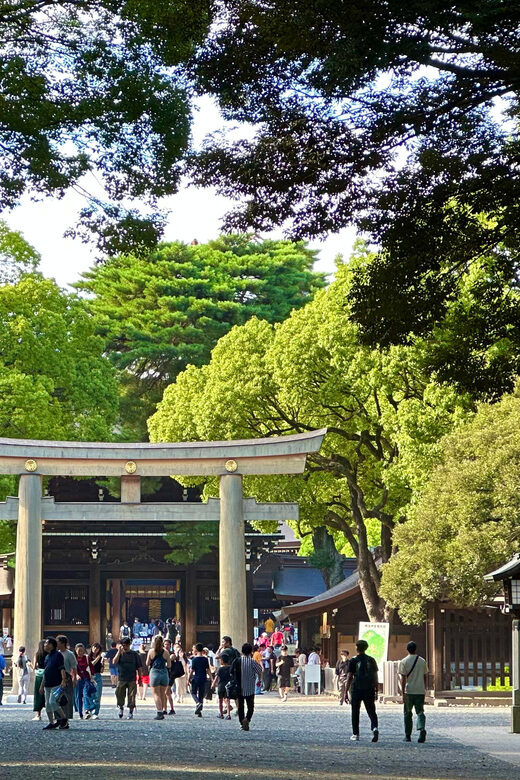 Tokyo: Meiji Jingu Shrine and Shinto Culture Walking Tour - What the Tour Style Gives You (and What It Doesn’t)