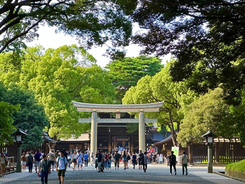 Tokyo: Meiji Jingu Shrine and Shinto Culture Walking Tour - Price and Time: Why $19 Feels Like Good Value