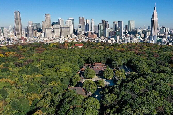 Tokyo: Meiji Shrine Walking Tour — Shintoism & Imperial System - Why Meiji Jingu Works So Well as a Guided Walk
