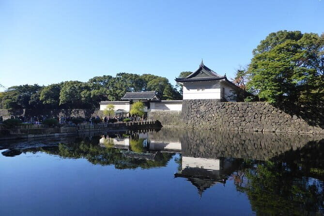 Tokyo: Meiji Shrine Walking Tour — Shintoism & Imperial System - Café Mori no Terrace: A Quiet Finish (Not an Afterthought)
