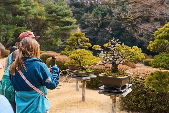 Tokyo: Meiji Shrine Walking Tour — Shintoism & Imperial System - The Harajuku Gate Forest Path: Your First Clue This Isn’t Just Sightseeing