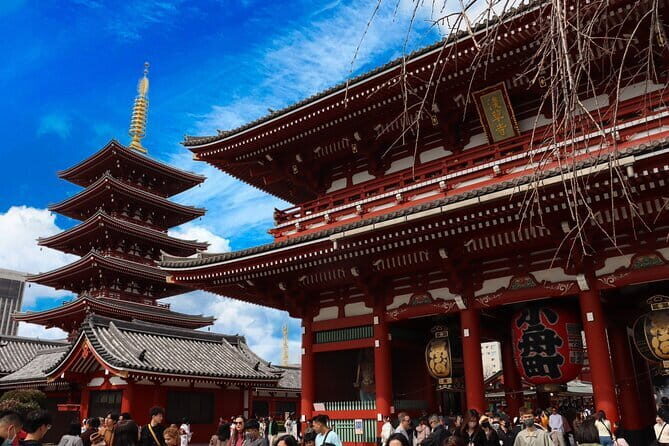Tokyo Morning Tour : Meiji Shrine, Asakusa and Fish Market - Price and value: what you pay for, what you still cover