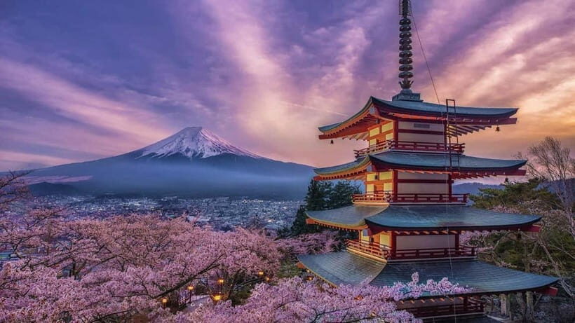 Tokyo: Mount Fuji & Hakone Private Tour with Guide - Kitaguchi-hongu Fuji Sengen Shrine: the red torii contrast
